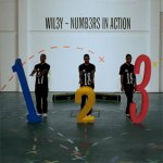 Wiley - Numbers In Action