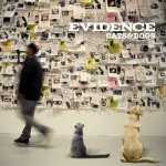 Evidence - Cats And Dogs