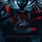 Дэниел Пол - Animal Planet