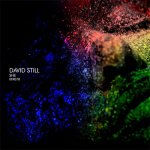 David Still - She