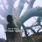 Zoo In Space - Страна чудес