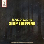 Raekwon - Stop Tripping