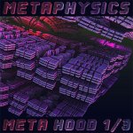 Metaphysics - META HOOD 1/3