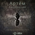 Артём Татищевский - Шороховатости