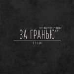ST1M - За гранью (The Mankeys version)