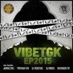 VibeTGK - EP2015