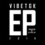 VibeTGK - EP2016