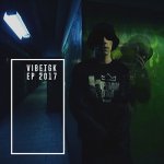 VibeTGK - EP2017