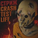 Стриж - Crash Test Life