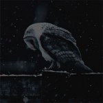 Tony Cliftone - Lonely Owl 2