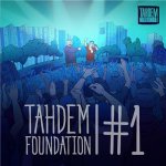 TAHDEM Foundation - #1