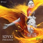 SDVG - Phoenix