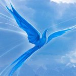 Нигатив, Миша Nex - Синяя птица