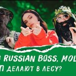 Big Russian Boss, MOLLY - Мне нравится