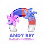 Andy Rey - Намагниченный